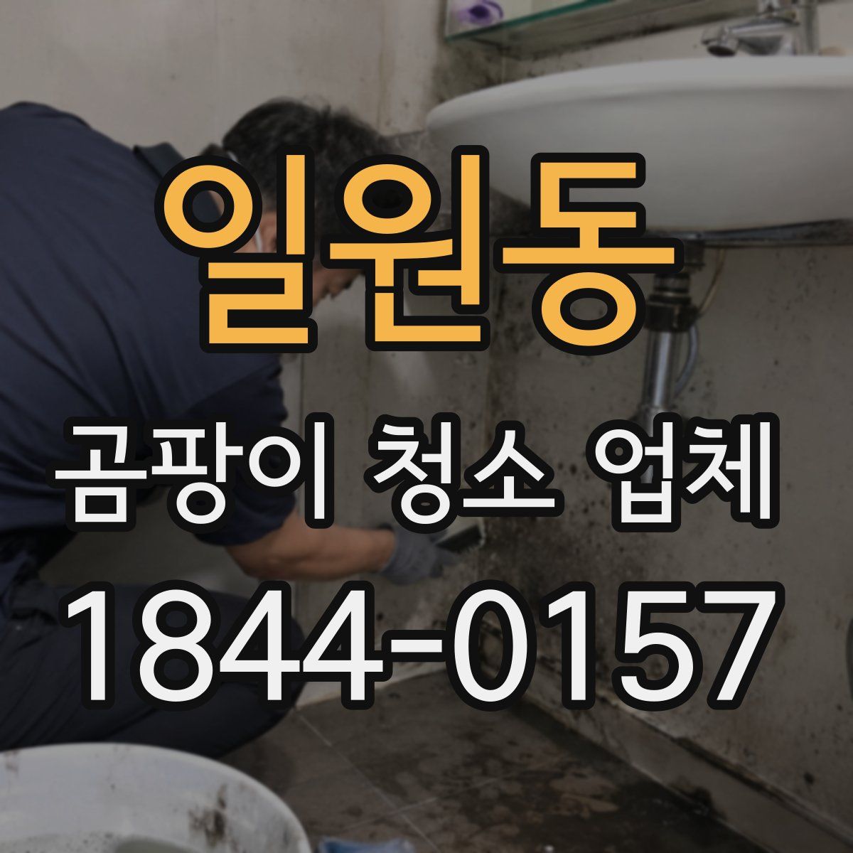 일원동 곰팡이 청소 업체