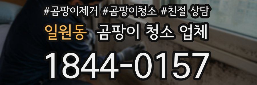 일원동 곰팡이 청소 업체