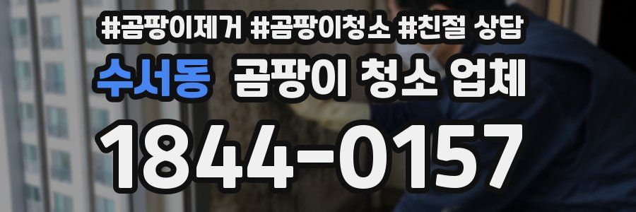 수서동 곰팡이 청소 업체