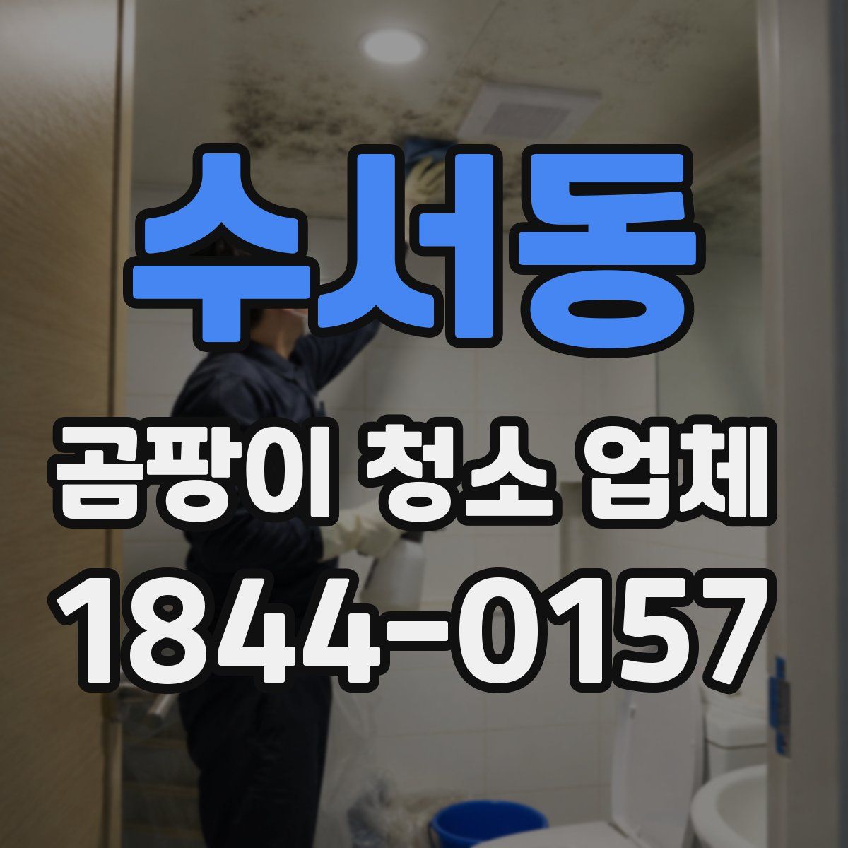 수서동 곰팡이 청소 업체