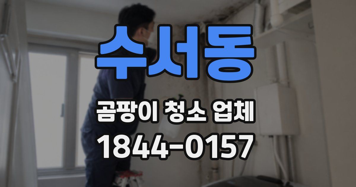 수서동 곰팡이 청소 업체