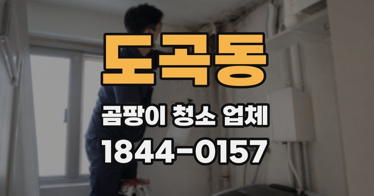 도곡동 곰팡이 청소 업체
