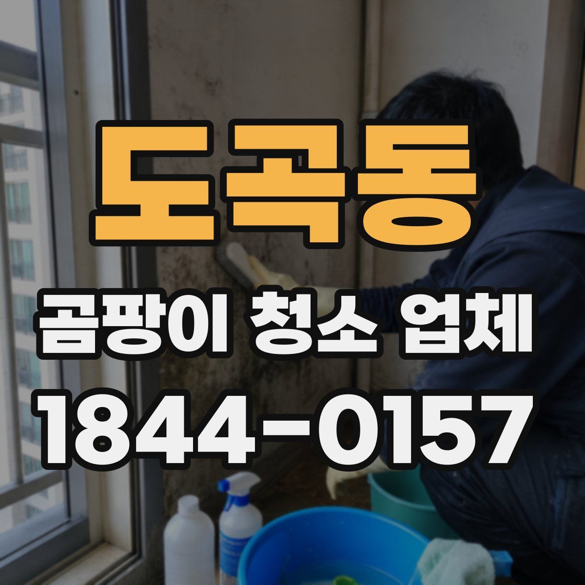 도곡동 곰팡이 청소 업체