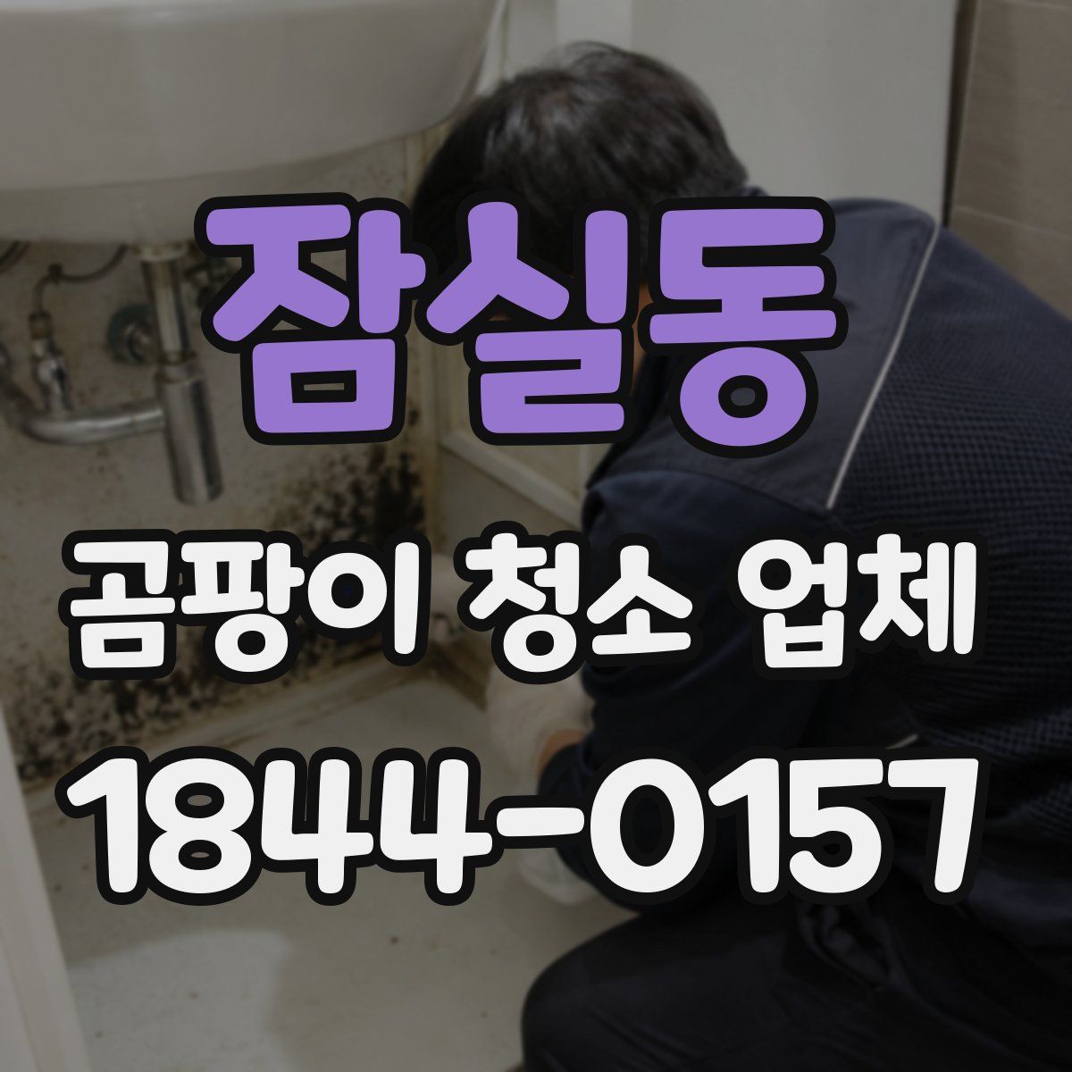 잠실동 곰팡이 청소 업체