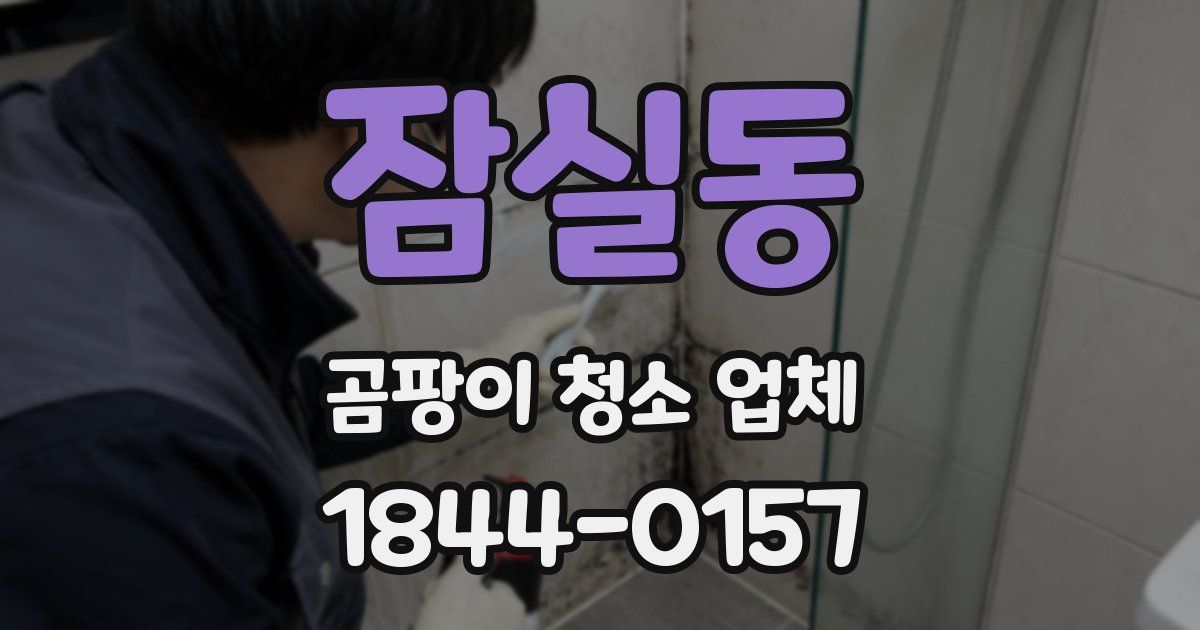 잠실동 곰팡이 청소 업체