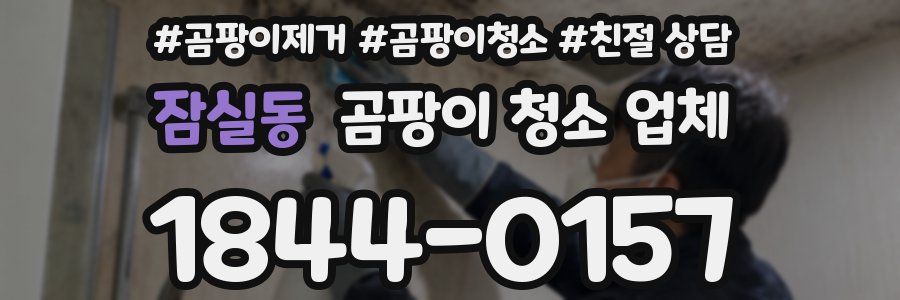 잠실동 곰팡이 청소 업체