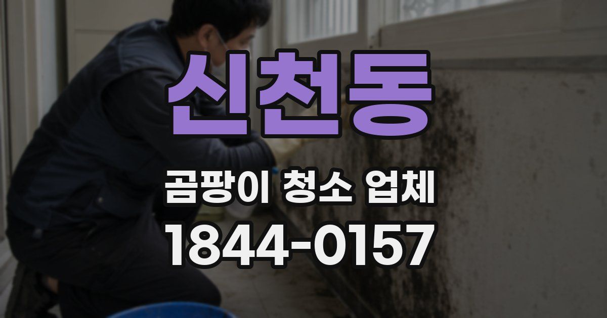 신천동 곰팡이 청소 업체