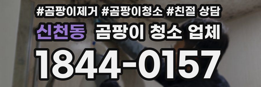 신천동 곰팡이 청소 업체