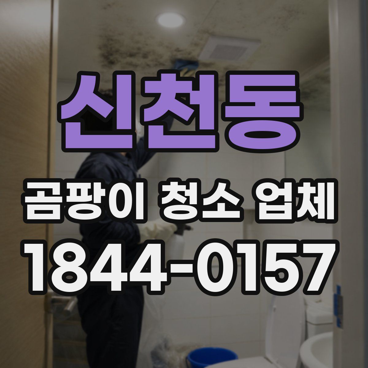 신천동 곰팡이 청소 업체