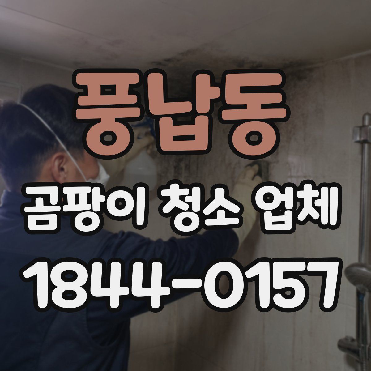 풍납동 곰팡이 청소 업체