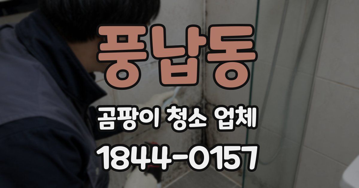 풍납동 곰팡이 청소 업체