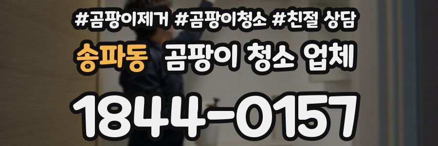 송파동 곰팡이 청소 업체