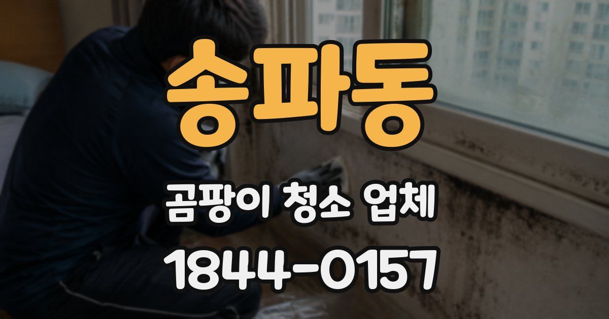 송파동 곰팡이 청소 업체