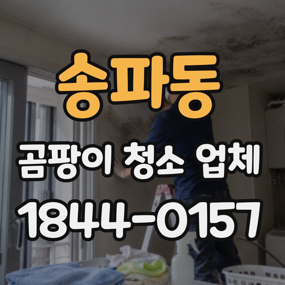 송파동 곰팡이 청소 업체