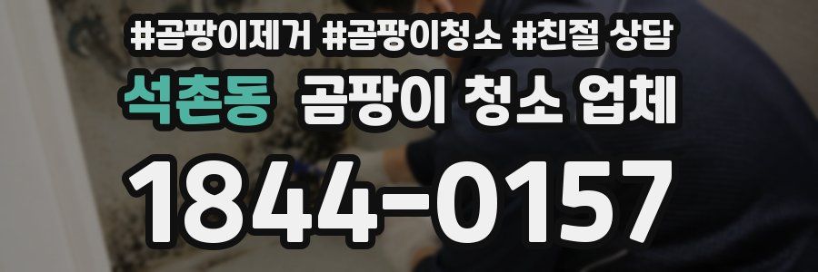 석촌동 곰팡이 청소 업체