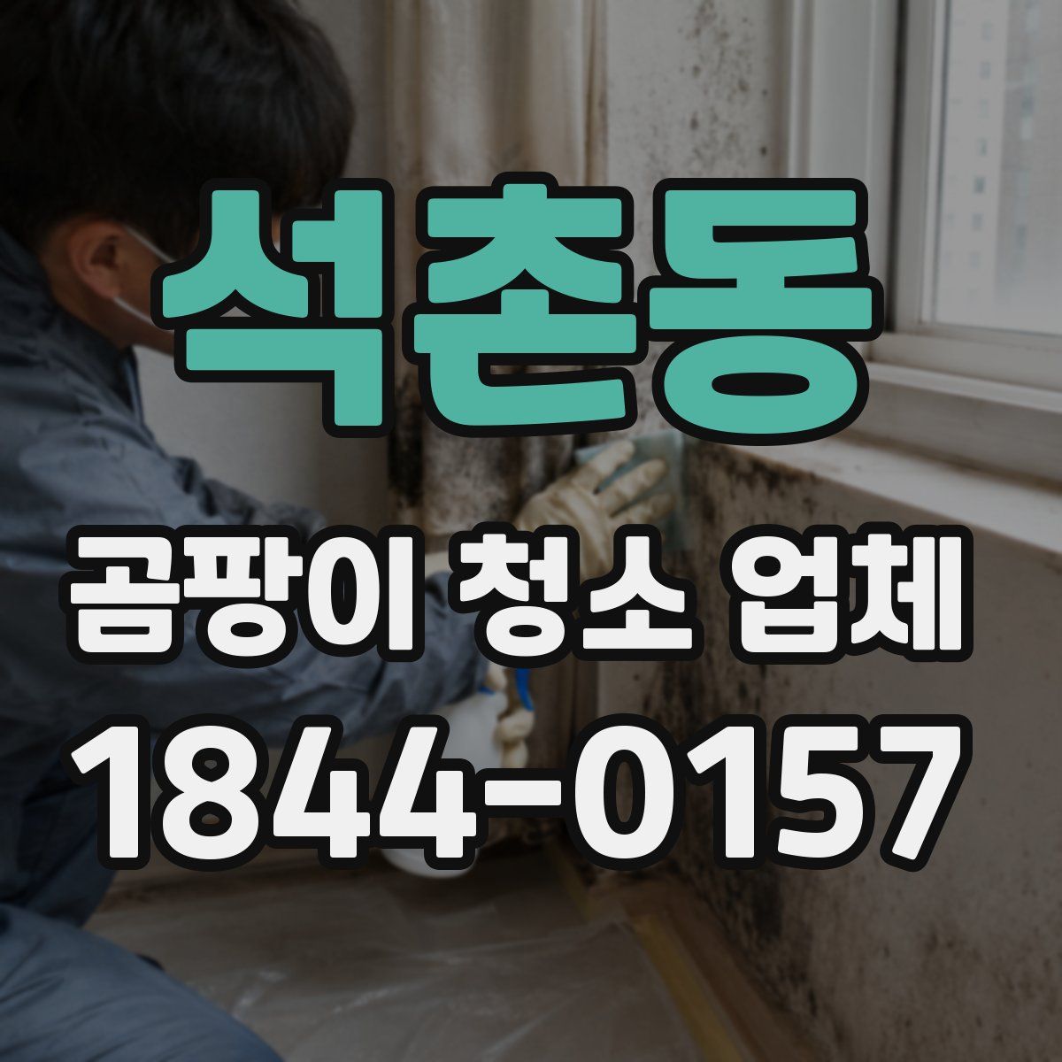 석촌동 곰팡이 청소 업체