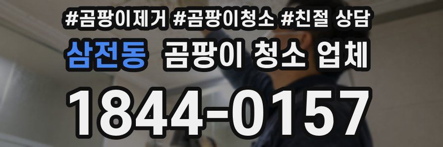 삼전동 곰팡이 청소 업체