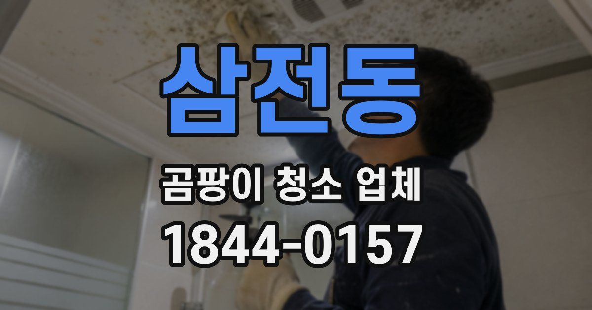 삼전동 곰팡이 청소 업체