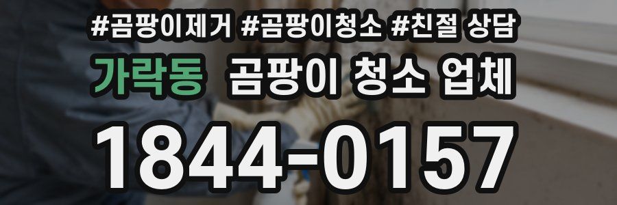 가락동 곰팡이 청소 업체