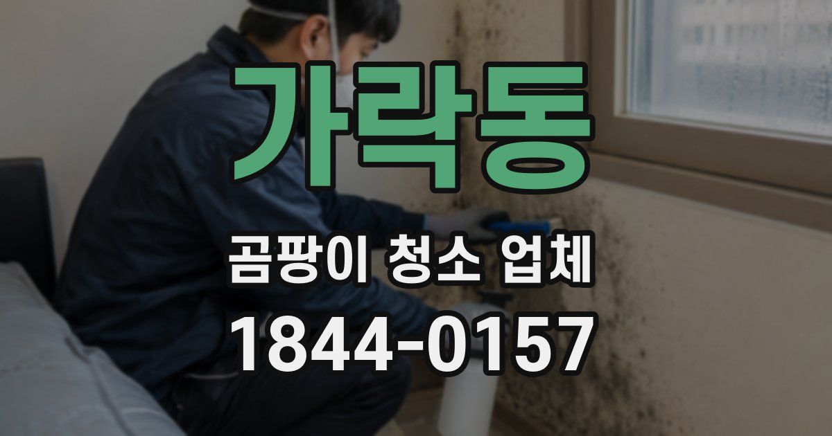 가락동 곰팡이 청소 업체
