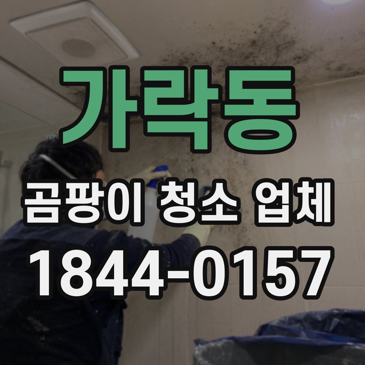 가락동 곰팡이 청소 업체