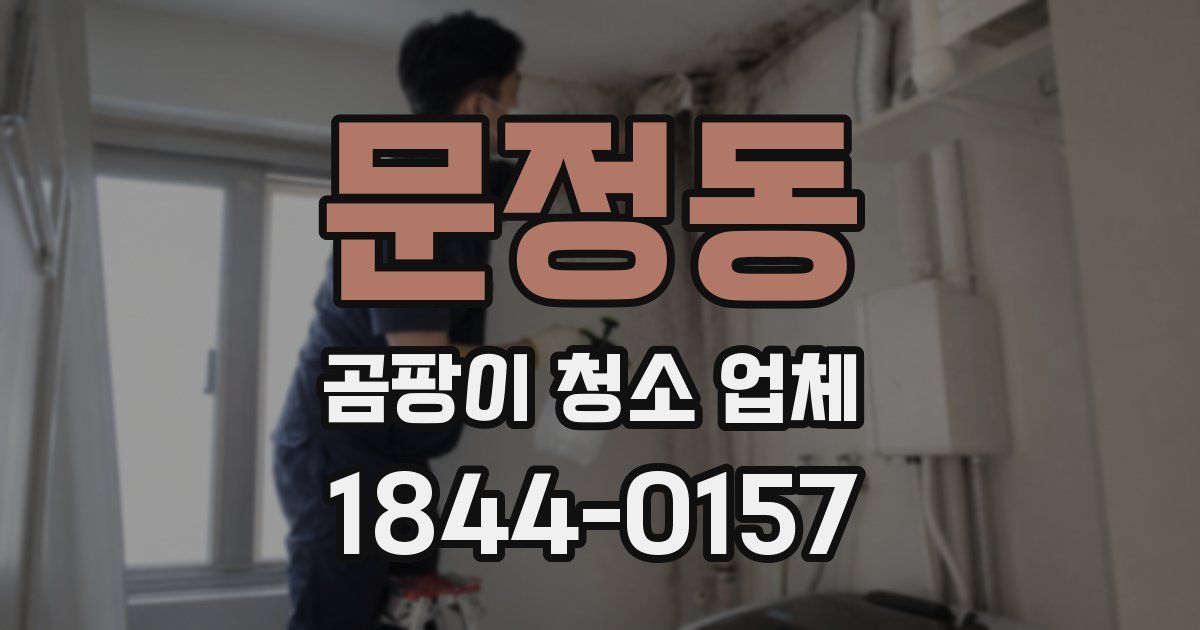 문정동 곰팡이 청소 업체