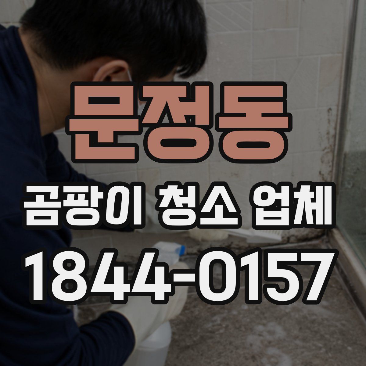 문정동 곰팡이 청소 업체
