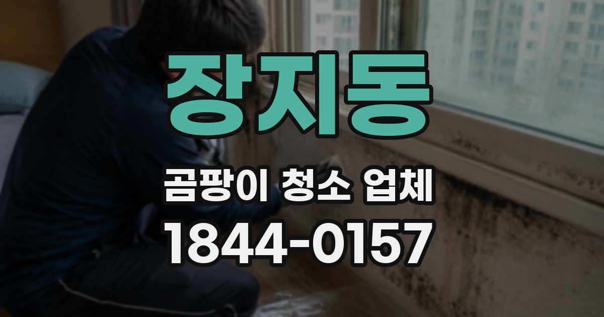 장지동 곰팡이 청소 업체