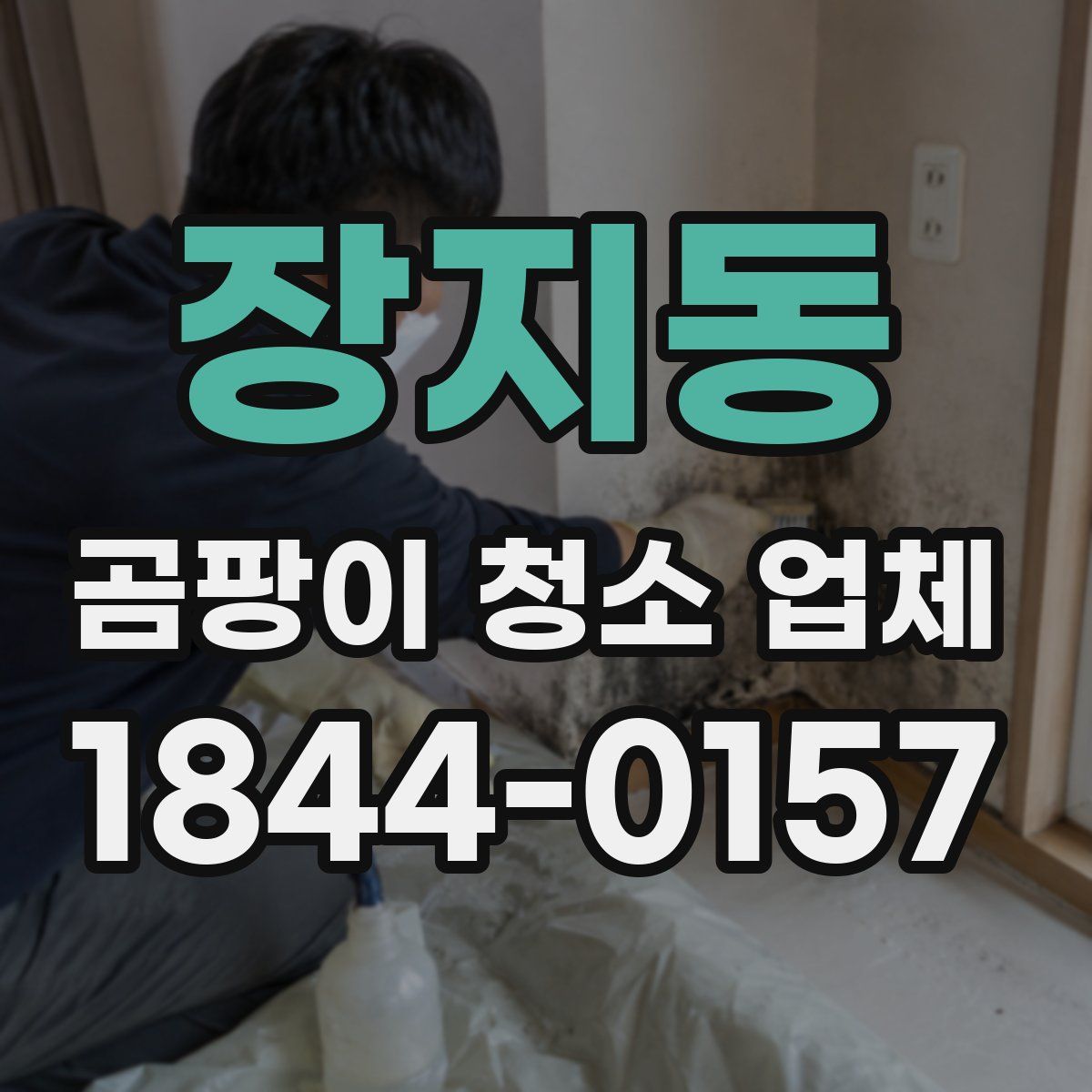 장지동 곰팡이 청소 업체