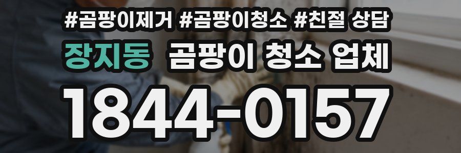 장지동 곰팡이 청소 업체