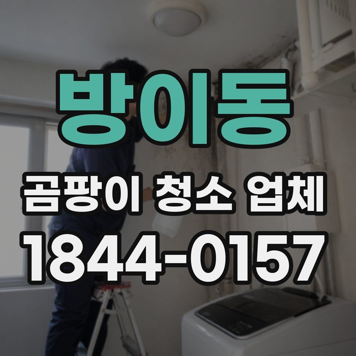방이동 곰팡이 청소 업체 이용 전 계약서에서 볼 내용