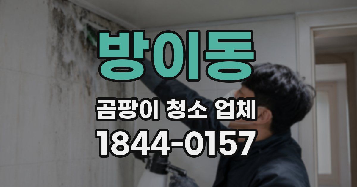 방이동 곰팡이 청소 업체