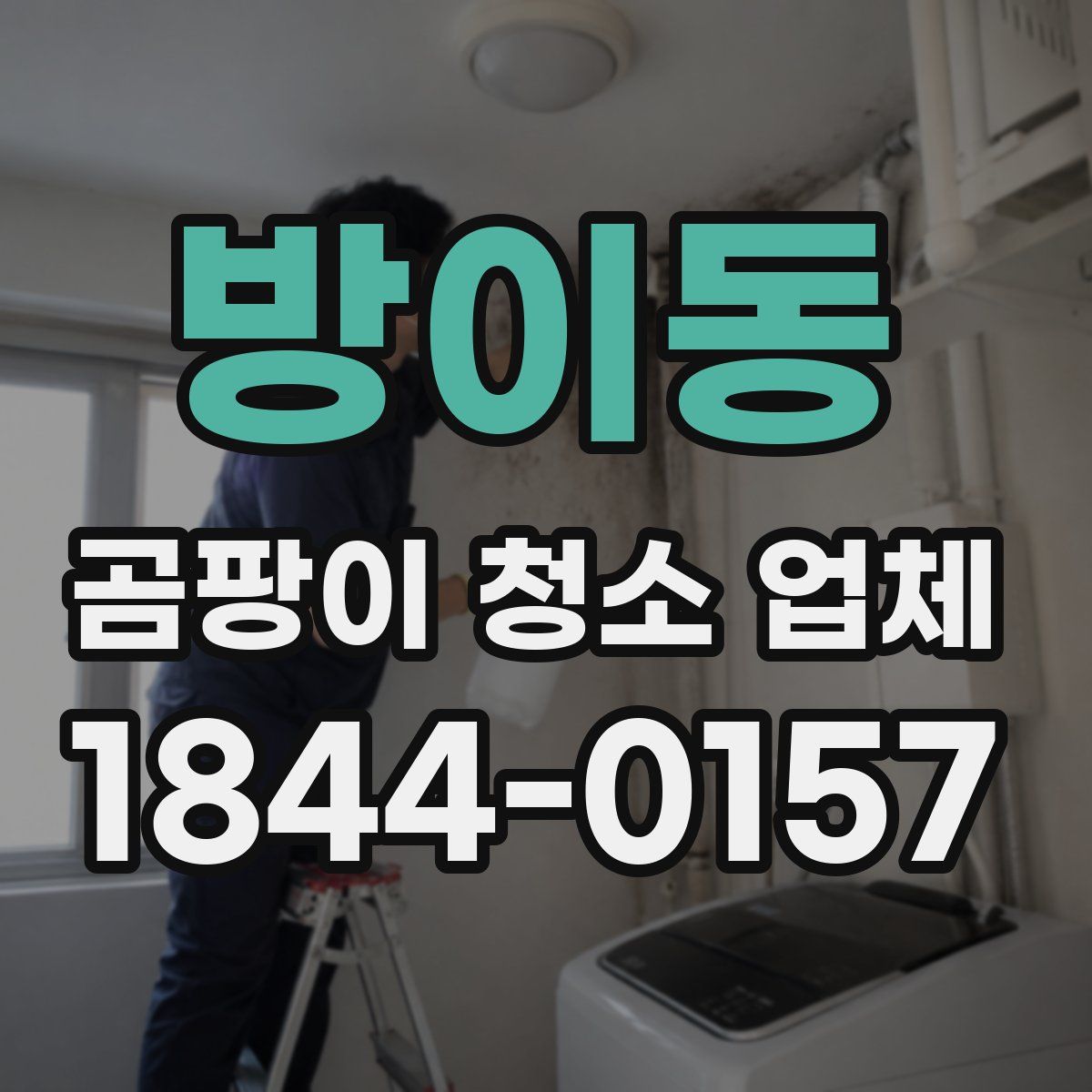 방이동 곰팡이 청소 업체