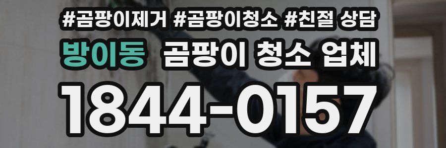 방이동 곰팡이 청소 업체