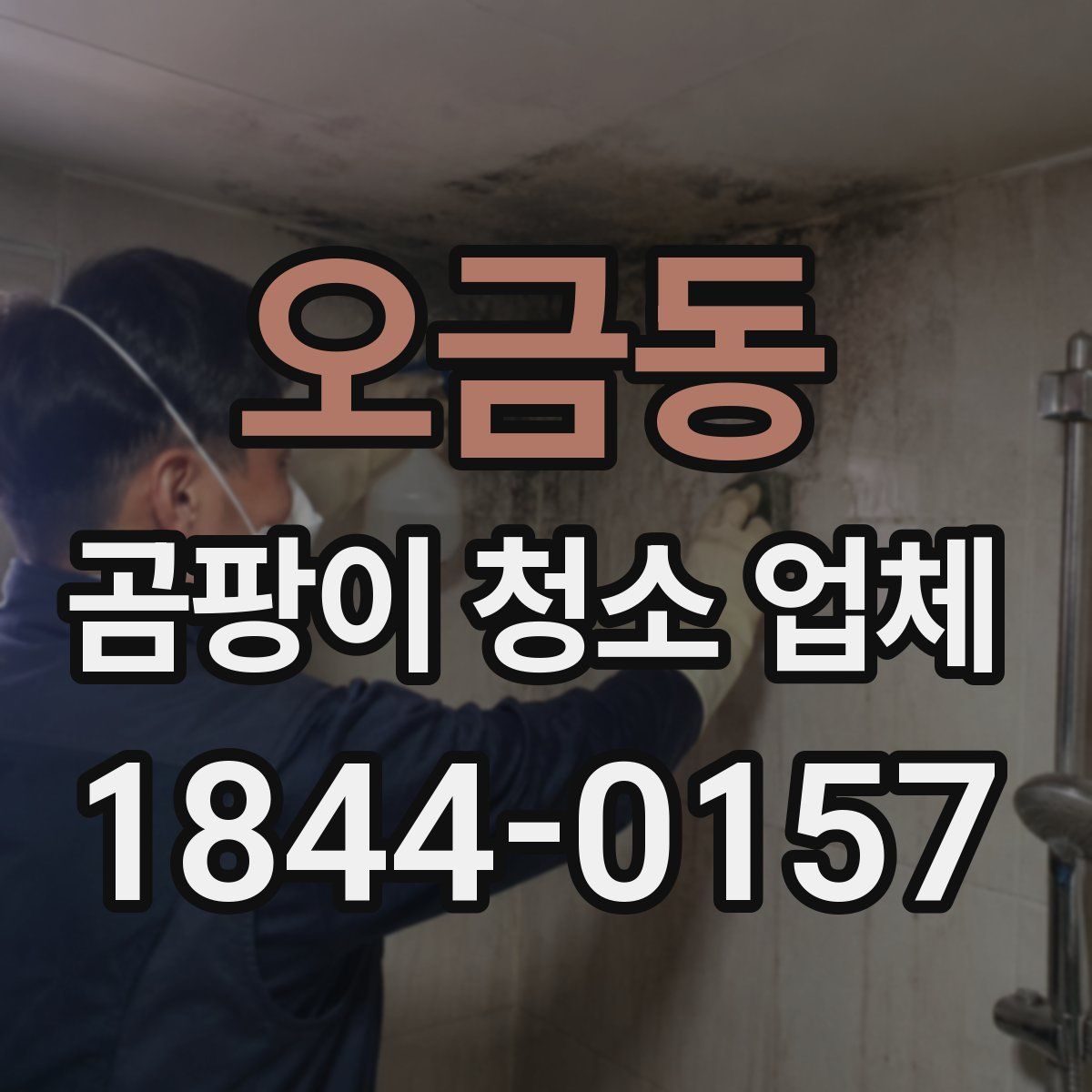 오금동 곰팡이 청소 업체