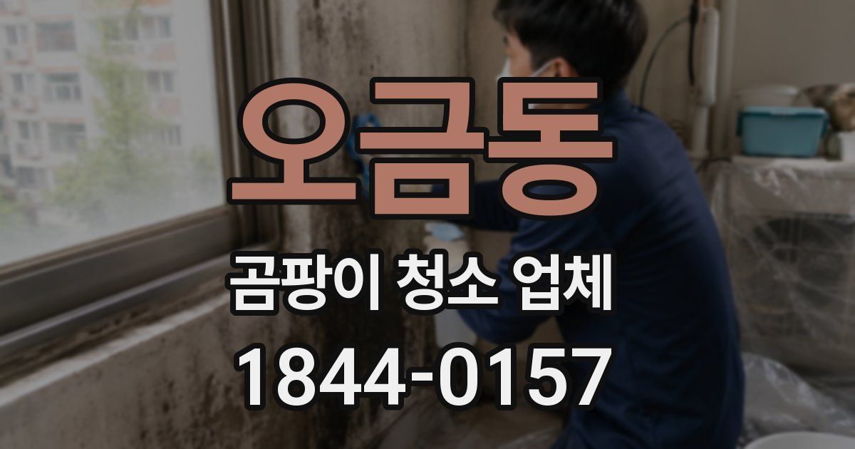 오금동 곰팡이 청소 업체