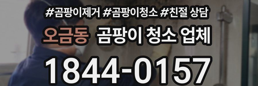 오금동 곰팡이 청소 업체