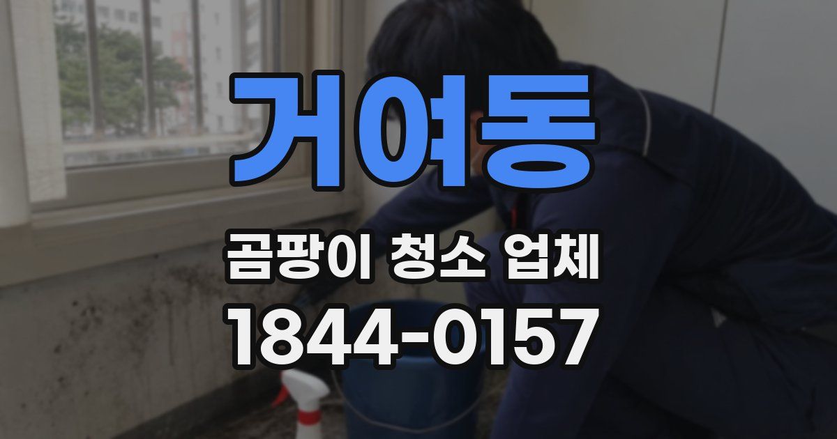 거여동 곰팡이 청소 업체