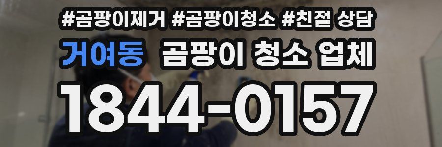 거여동 곰팡이 청소 업체