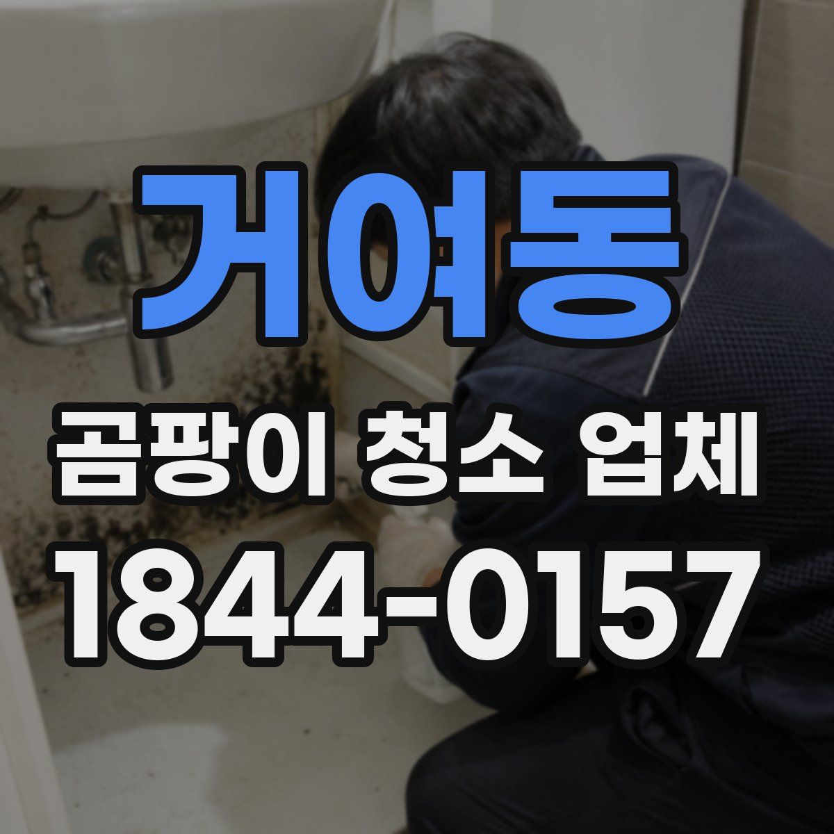 거여동 곰팡이 청소 업체