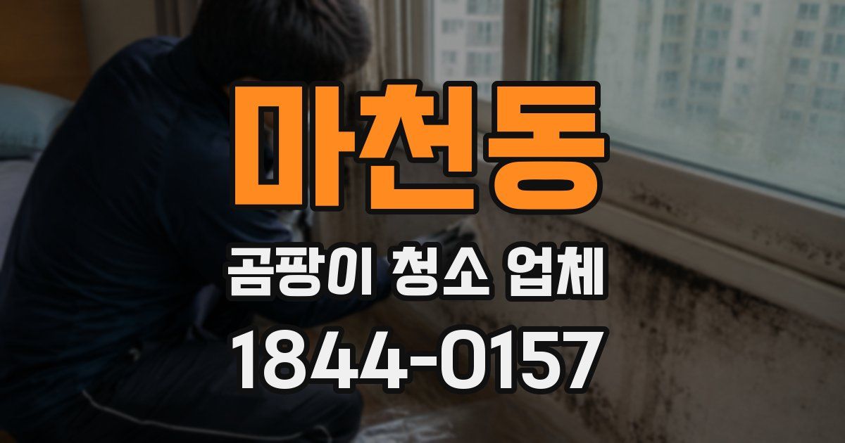 마천동 곰팡이 청소 업체