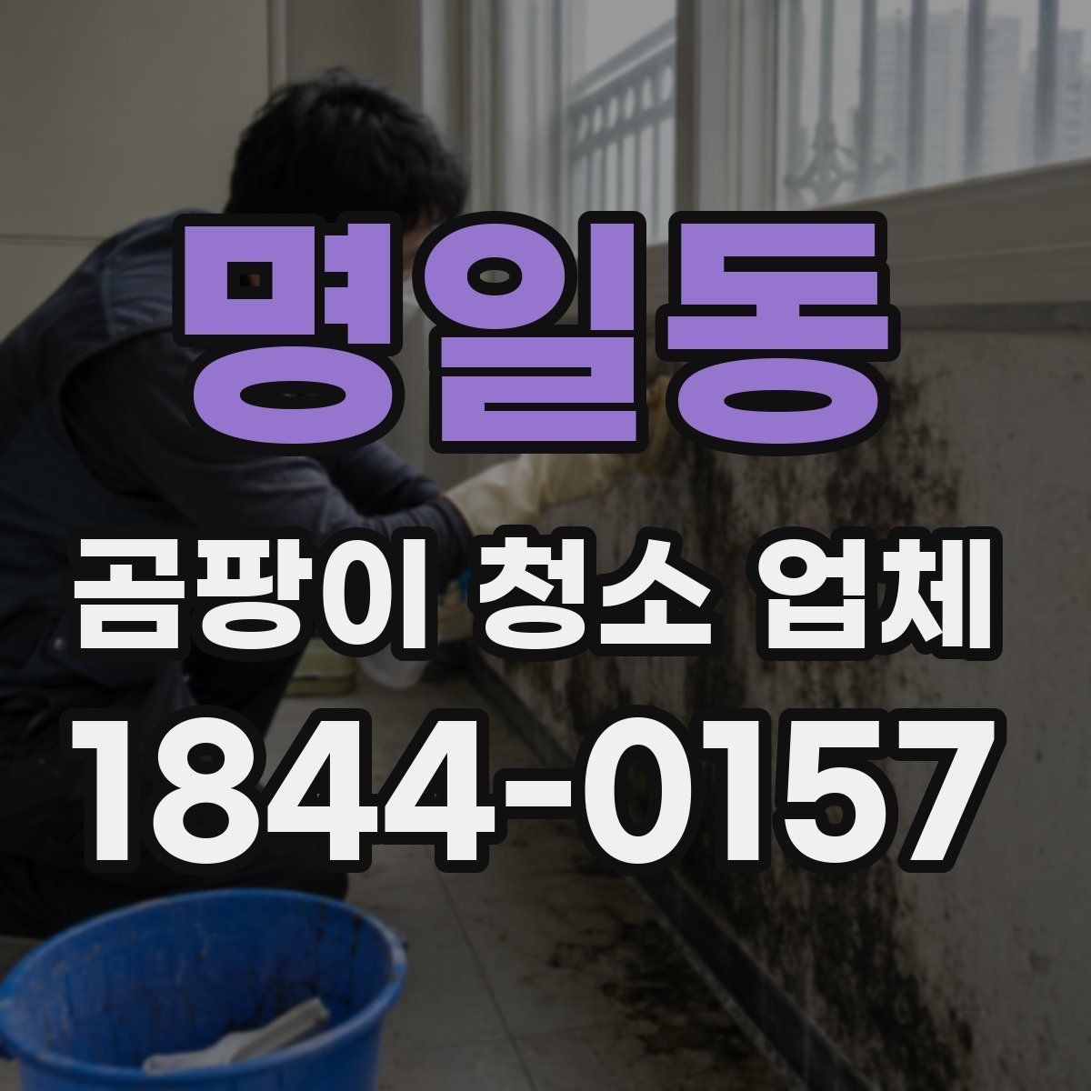 명일동 곰팡이 청소 업체