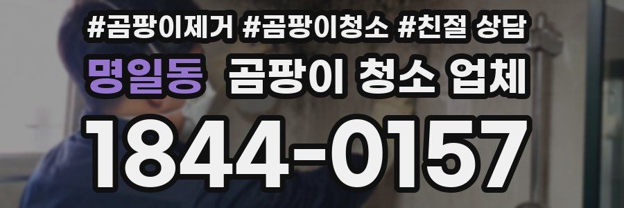 명일동 곰팡이 청소 업체