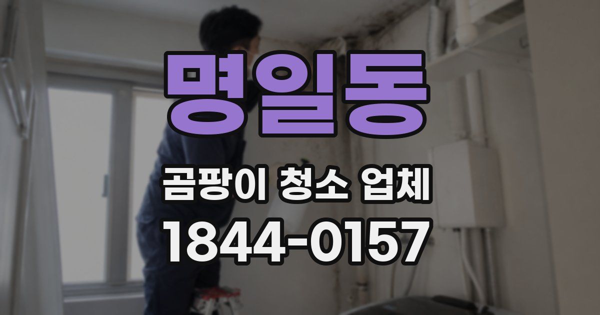 명일동 곰팡이 청소 업체