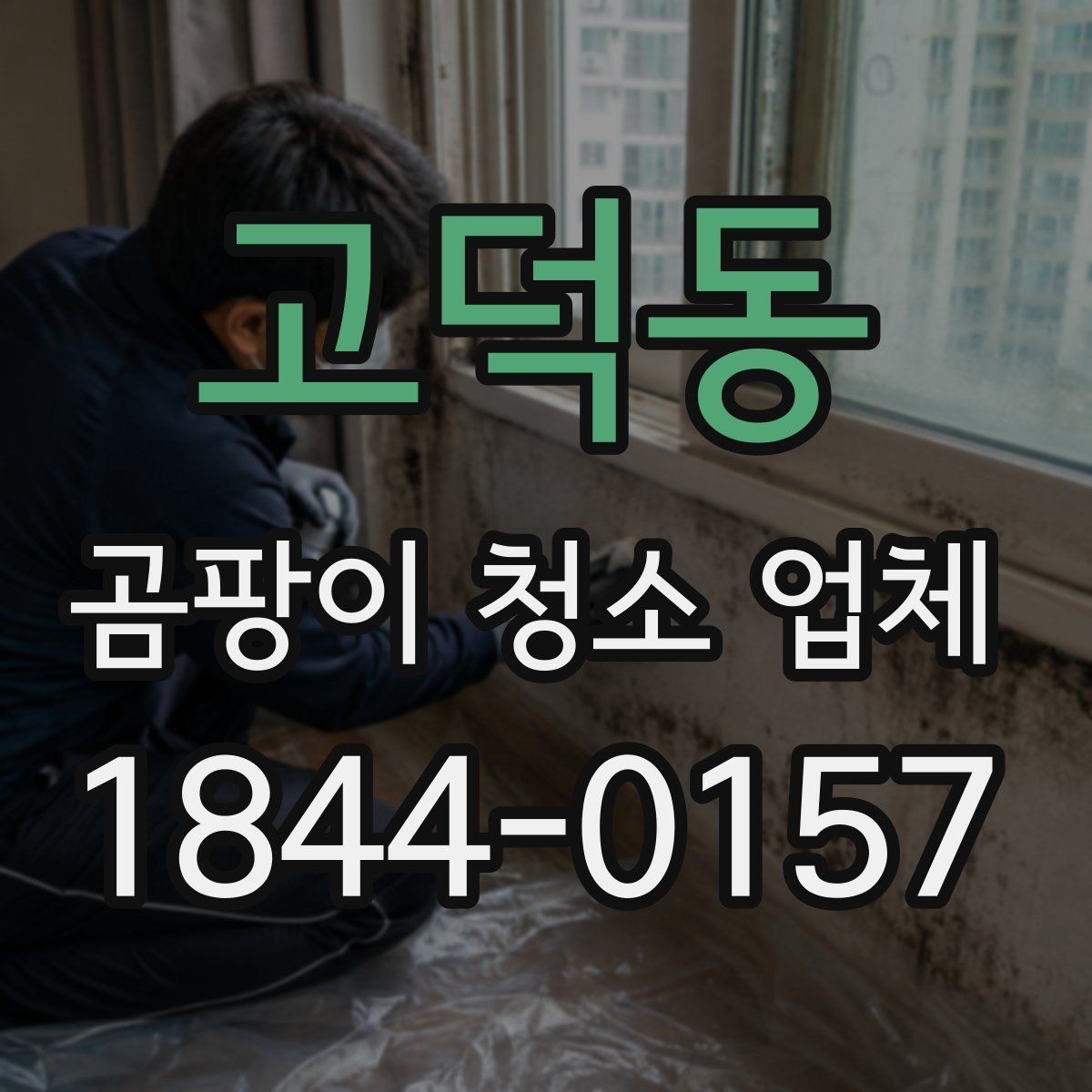 고덕동 곰팡이 청소 업체 선택에 필요한 최소한의 정보
