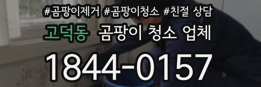 고덕동 곰팡이 청소 업체