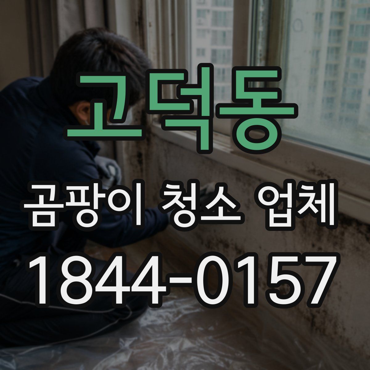 고덕동 곰팡이 청소 업체
