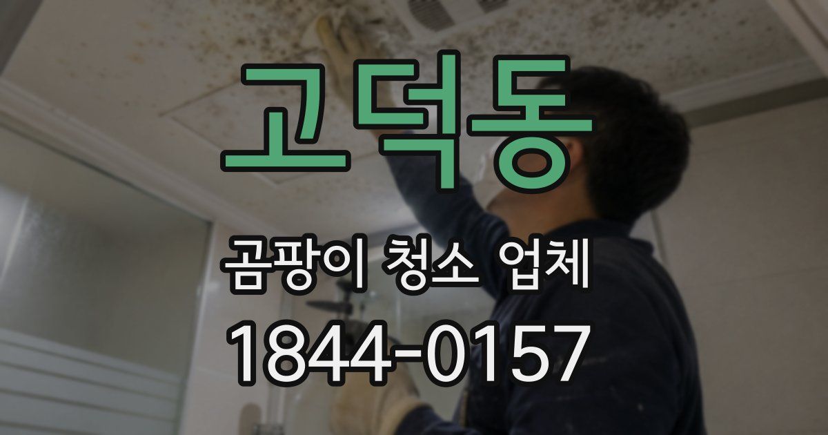 고덕동 곰팡이 청소 업체