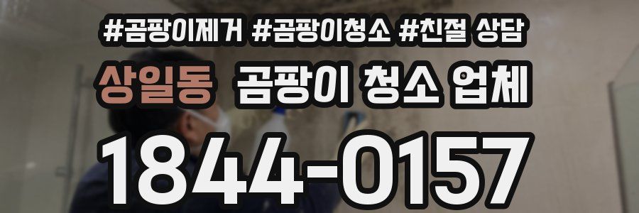 상일동 곰팡이 청소 업체