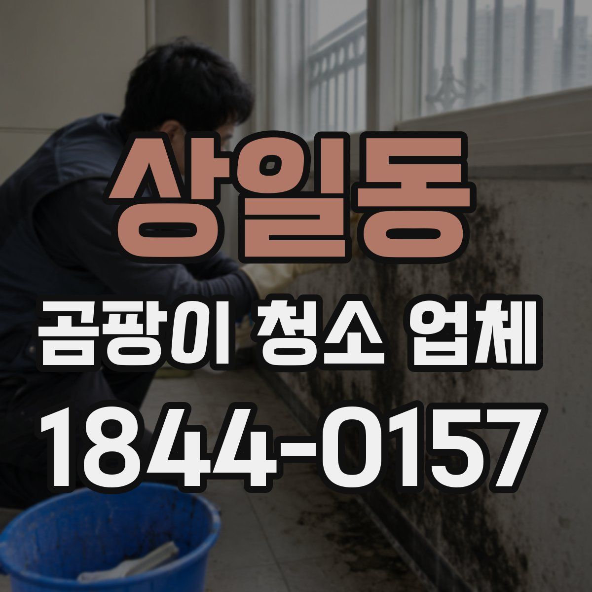 상일동 곰팡이 청소 업체